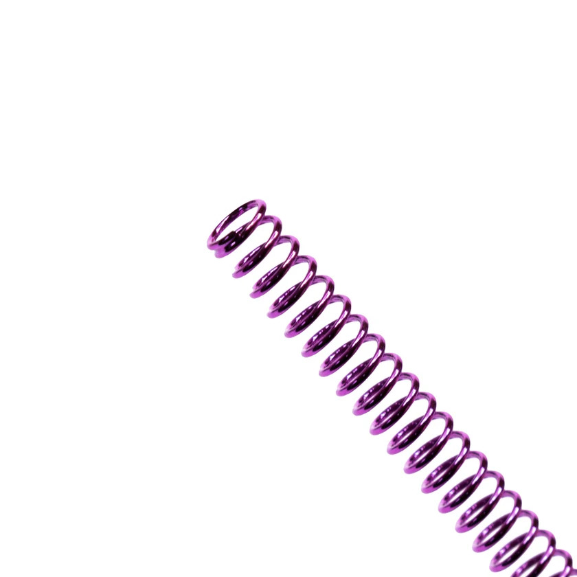 AAP-01 "Ion" Recoil Spring - Image 2